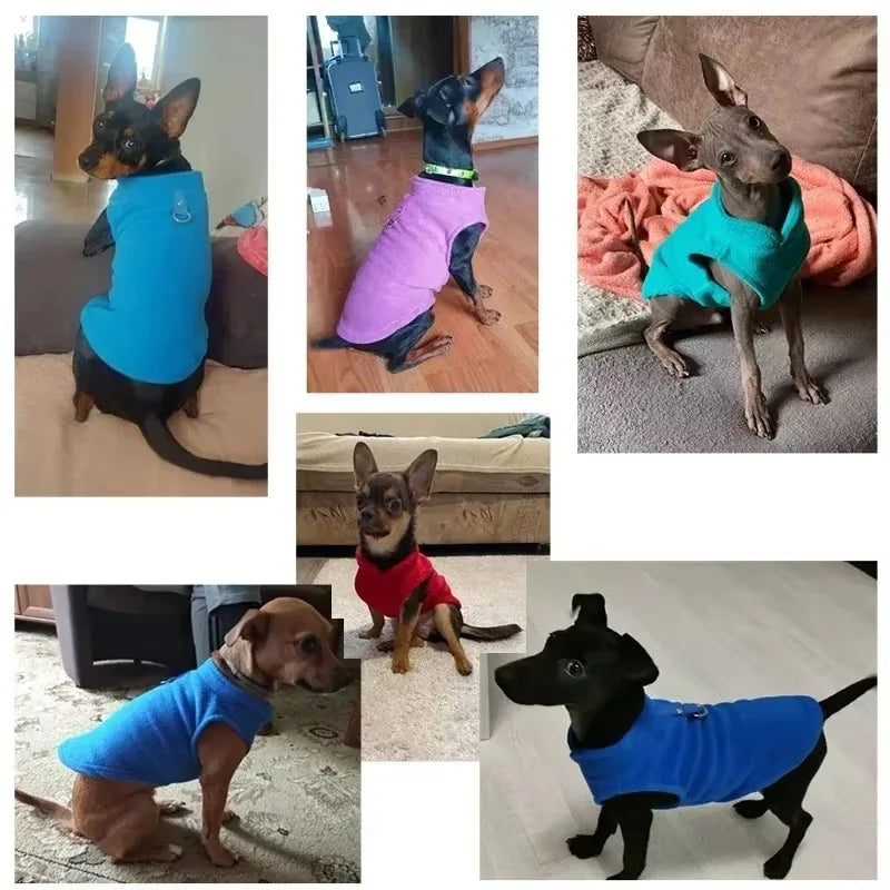 Fleece Vest Jacket for Small Dogs & Cats | Warm Winter Coat for Chihuahuas & French Bulldogs
