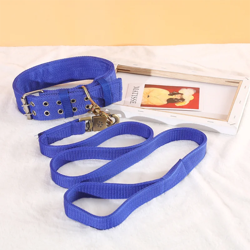 Heavy Duty Nylon Dog Leash & Collar Set