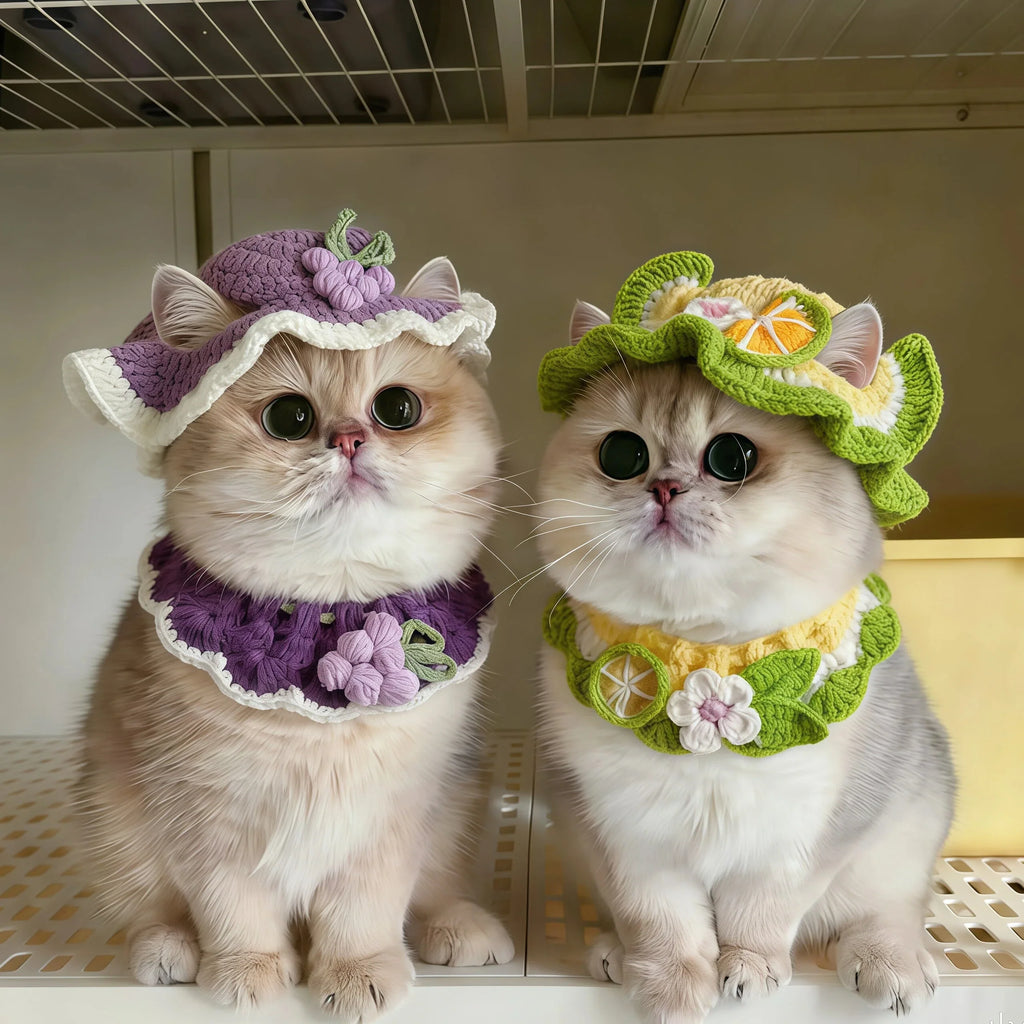 Knitted Hat & Scarf Costume Set for Cats
