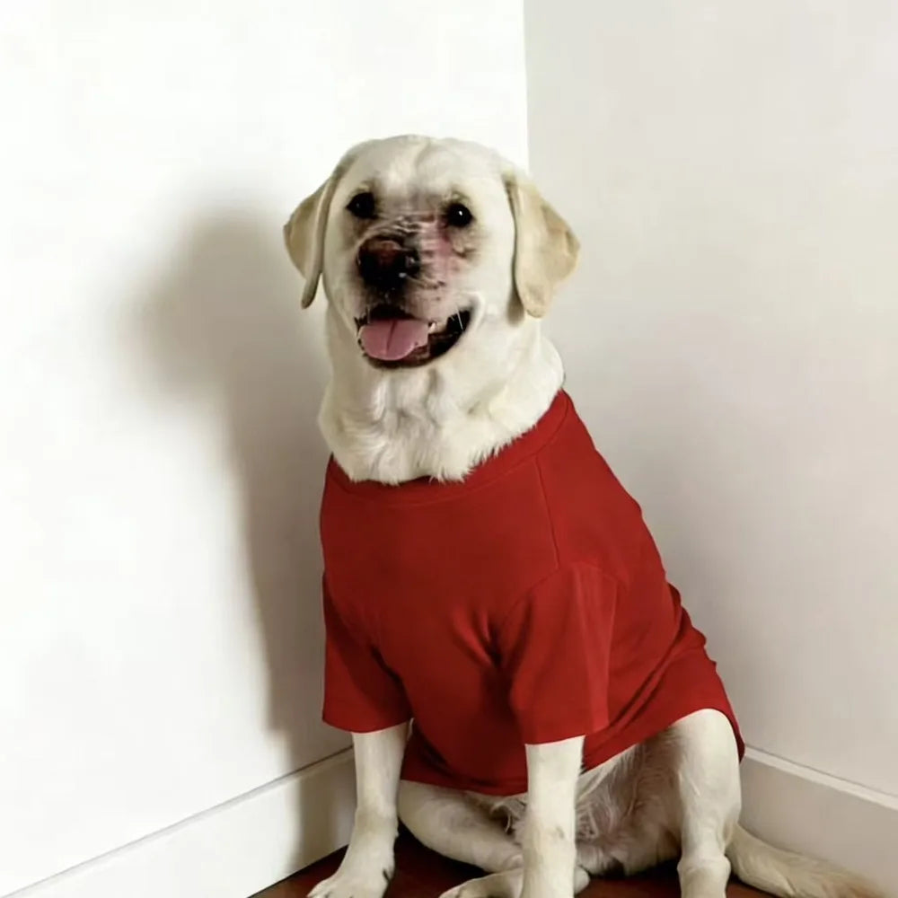 Soft Breathable Dog Cooling Vest Shirt | Casual Summer Top for Medium & Large Dogs