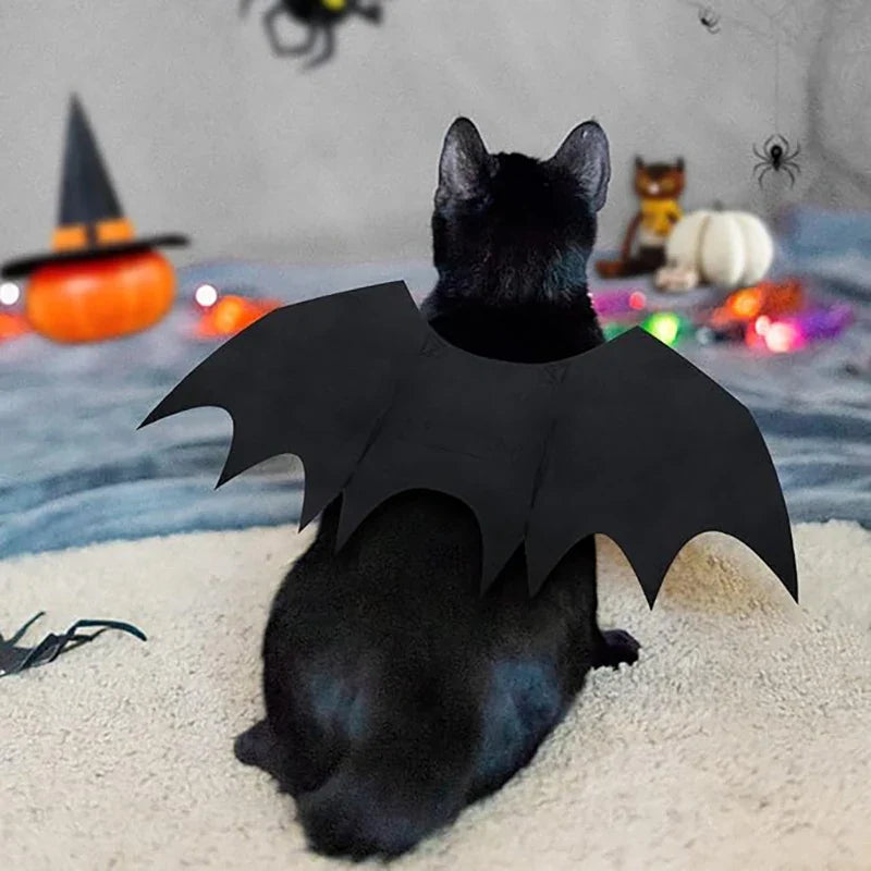 Halloween Bat Wings Costume for Dogs & Cats — Collar Lead & Cosplay Dress-Up Accessories