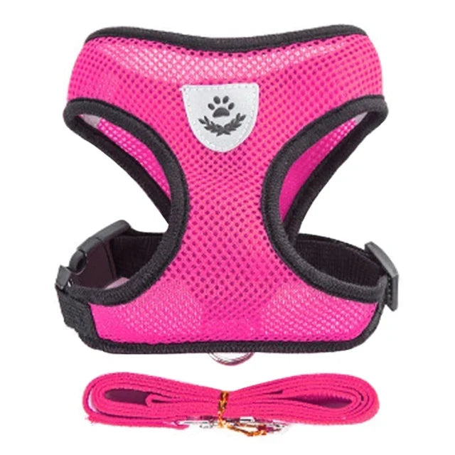 Breathable Mesh Vest Harness & Lead Set for Small to Medium Cats and Dogs