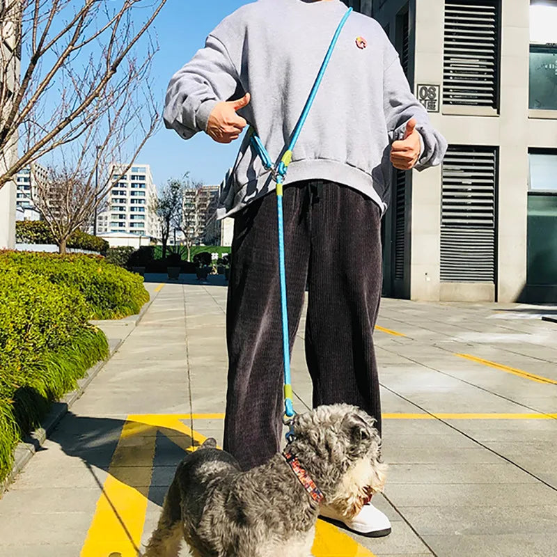 Reflective Nylon Dog Leash