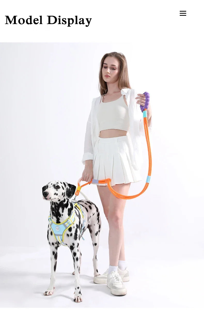 Anti-Slip Nylon Dog Lead — Lightweight & Wear-Resistant