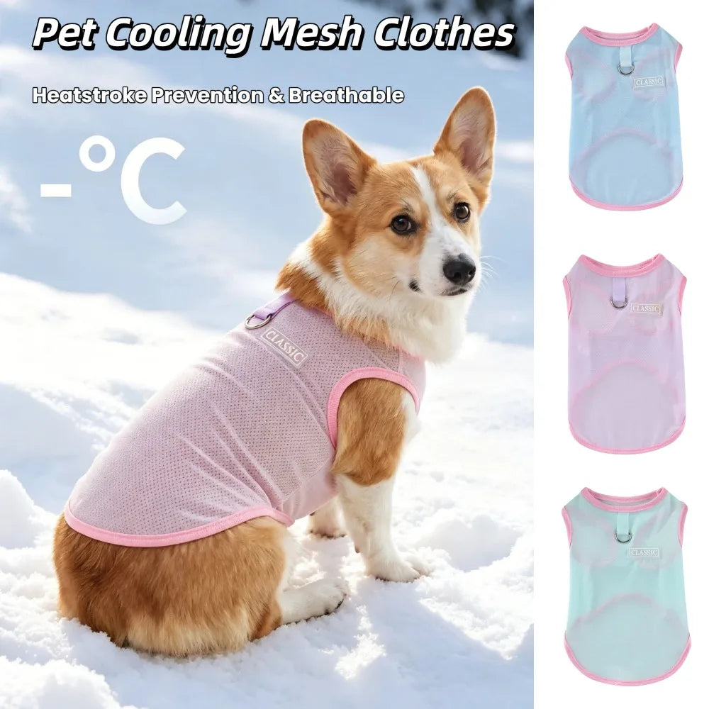 Breathable Mesh Cooling Vest with D-Ring for Small Dogs