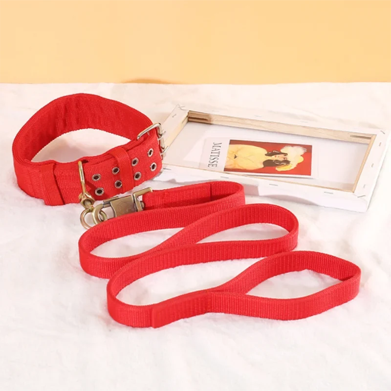 Heavy Duty Nylon Dog Leash & Collar Set