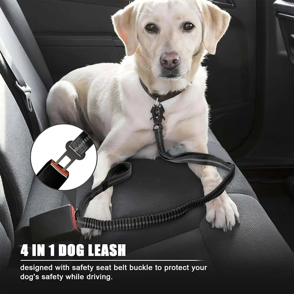 Reflective Shock Absorbing Dog Leash