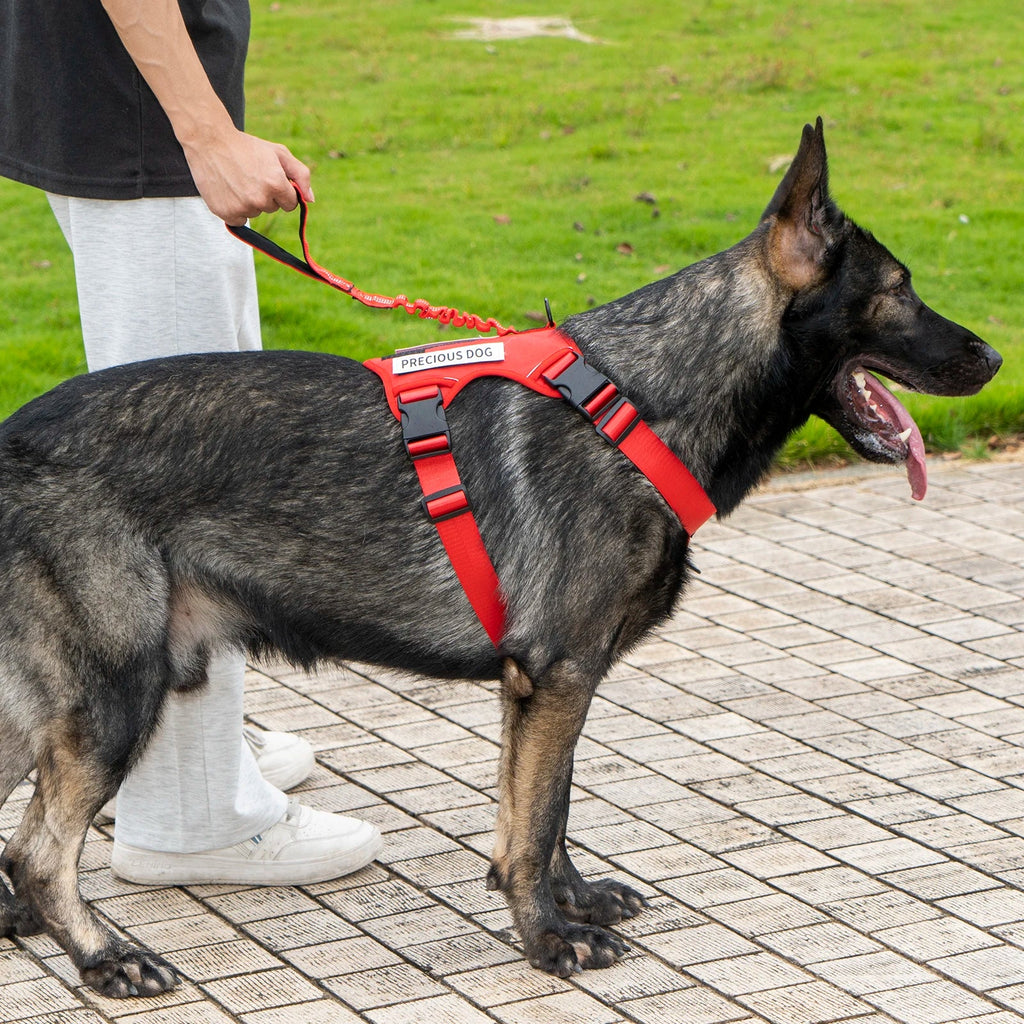 Reflective Emotional Support Dog Vest Harness with Handle & Lead — Easy On/Off for Large Dogs
