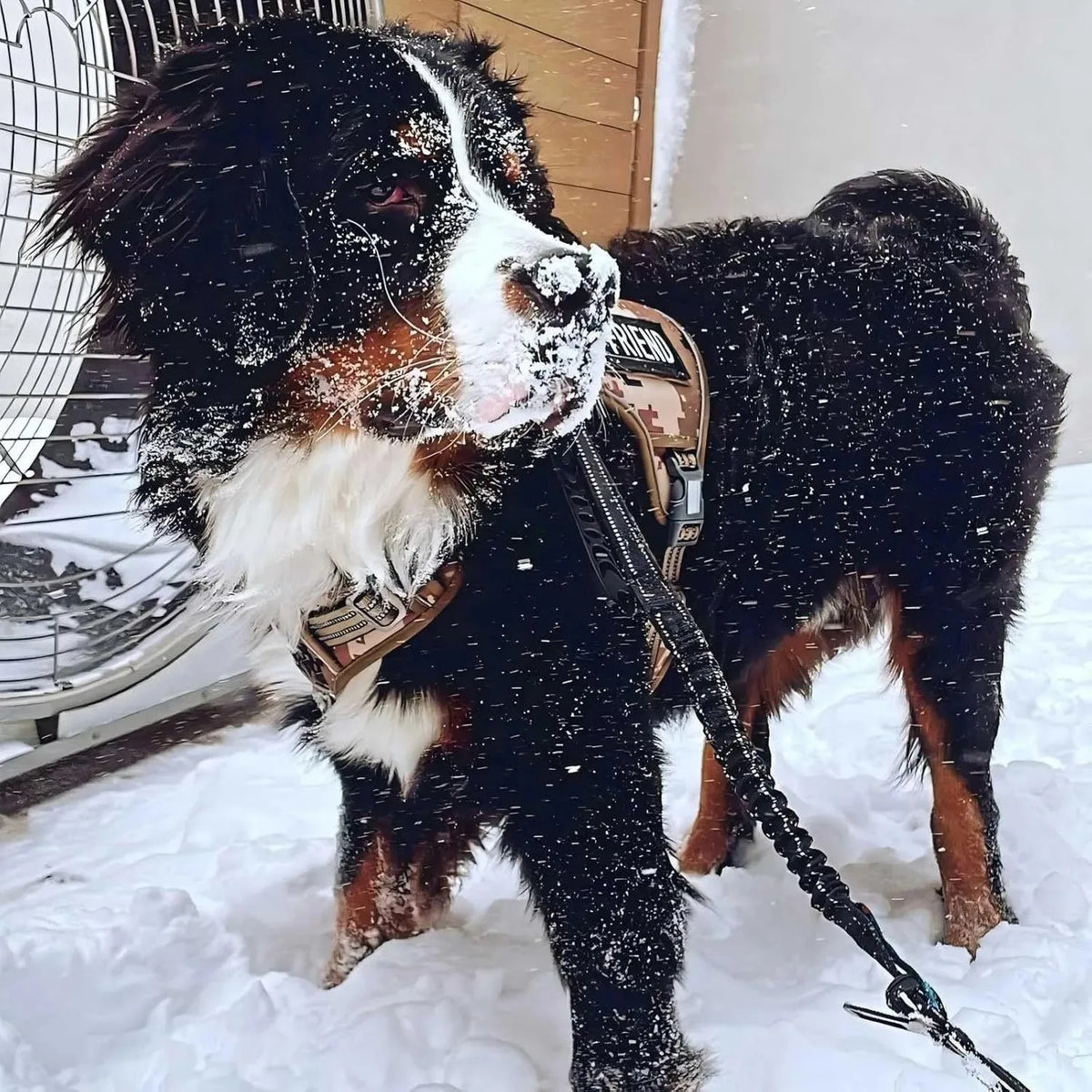 No-Pull Tactical Dog Harness with Reflective Strips