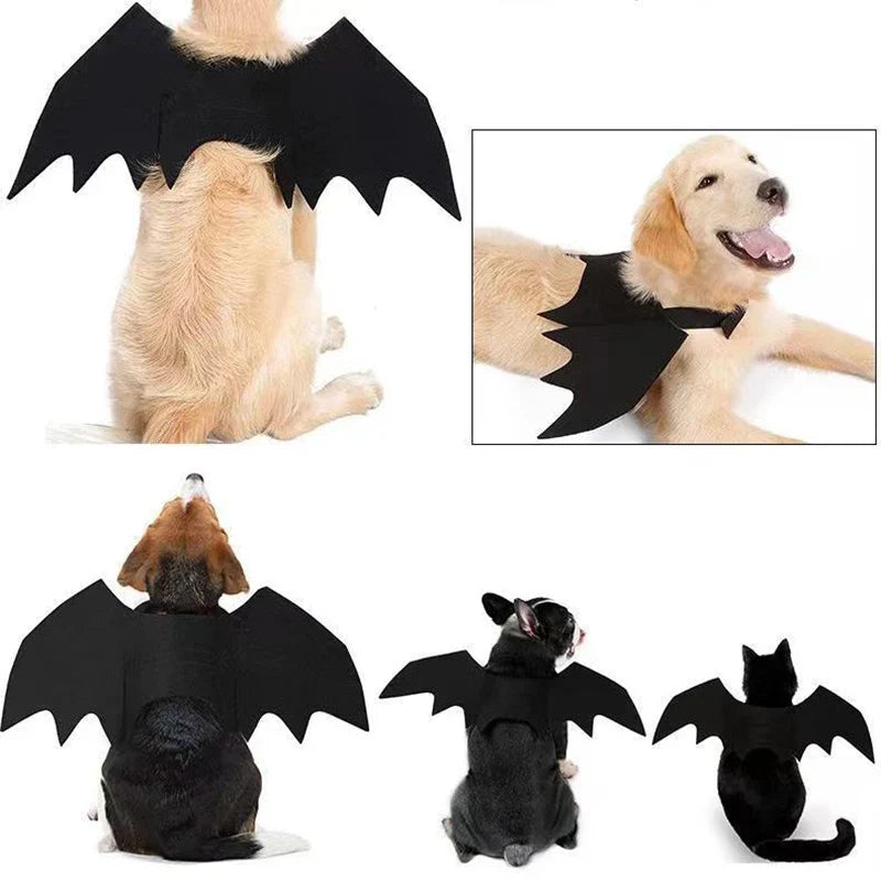 Halloween Bat Wings Costume for Dogs & Cats — Collar Lead & Cosplay Dress-Up Accessories