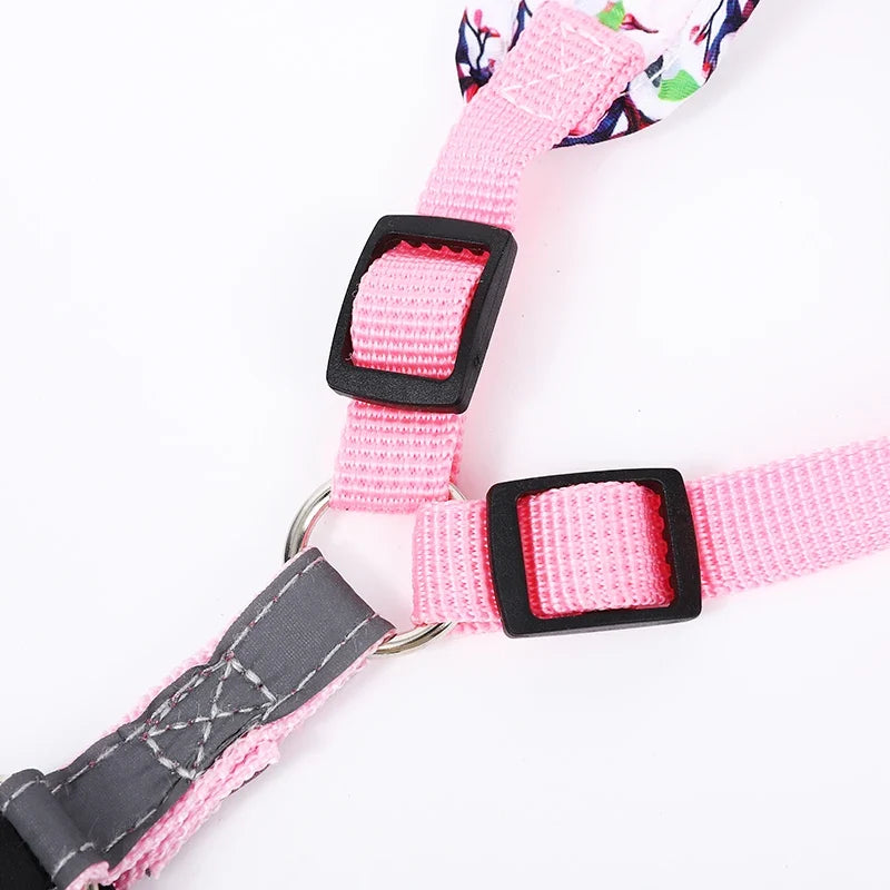 Adjustable Dog Harness & Leash Set with Reflective Strips