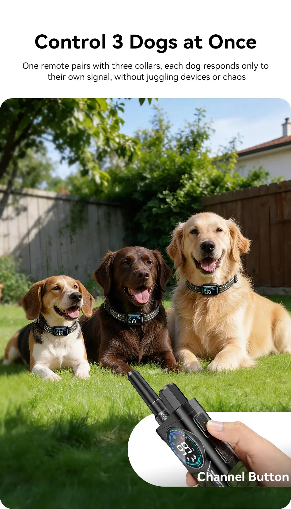 1000m Remote Dog Training Collar with Vibration & Bark Control