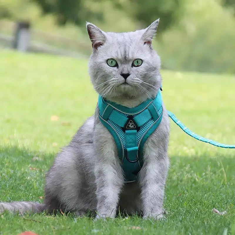 No-Pull Reflective Pet Harness and Leash Set
