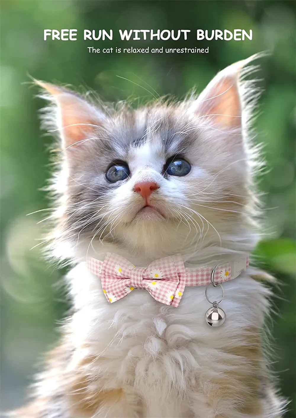 Breakaway Cat Collar with AirTag Holder & Bell