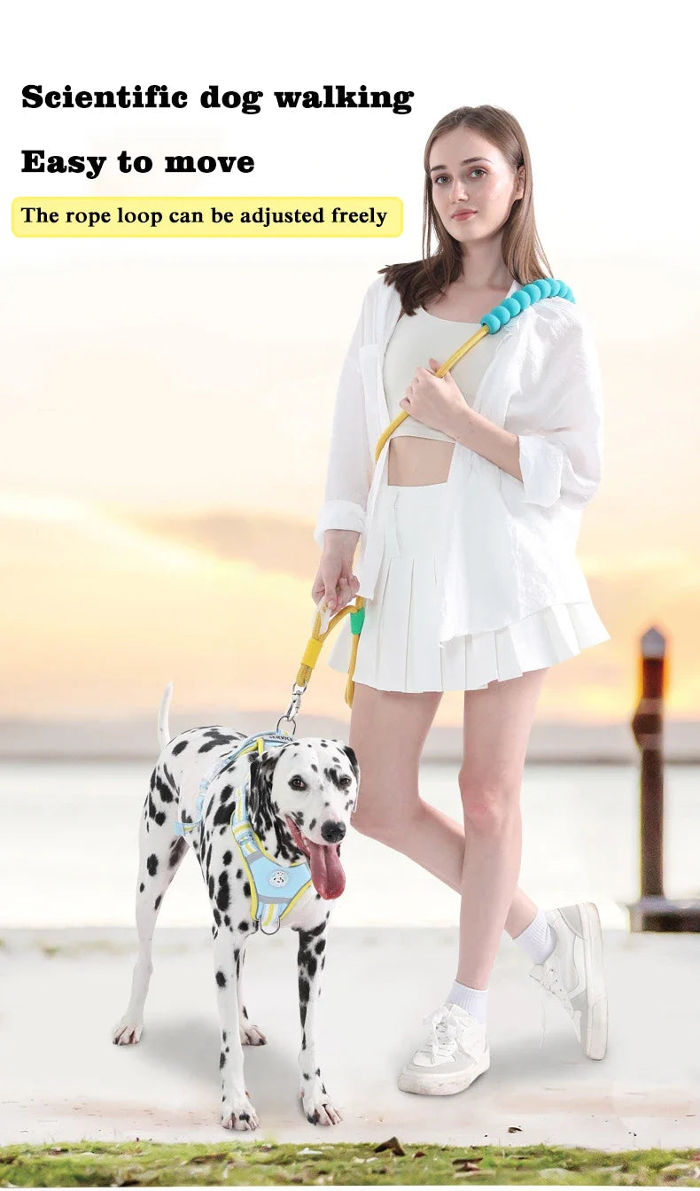 Anti-Slip Nylon Dog Lead — Lightweight & Wear-Resistant