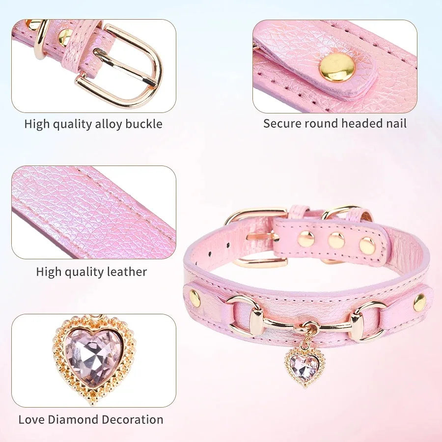 Cat Necklace & Harness Set - Pet Collar with Leash for Kittens & Puppies