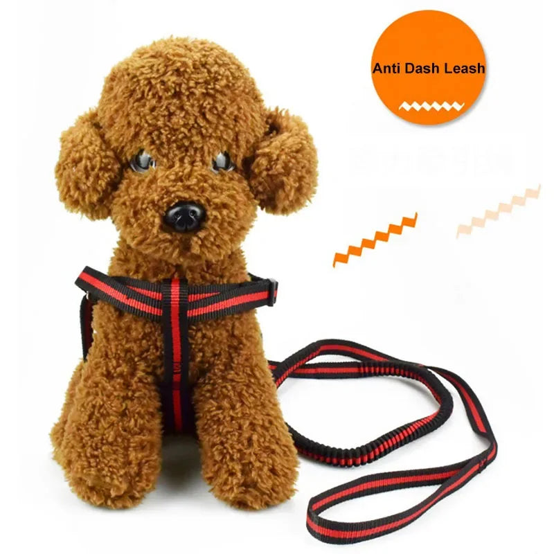 Elastic Anti-Pull Pet Lead (190cm)