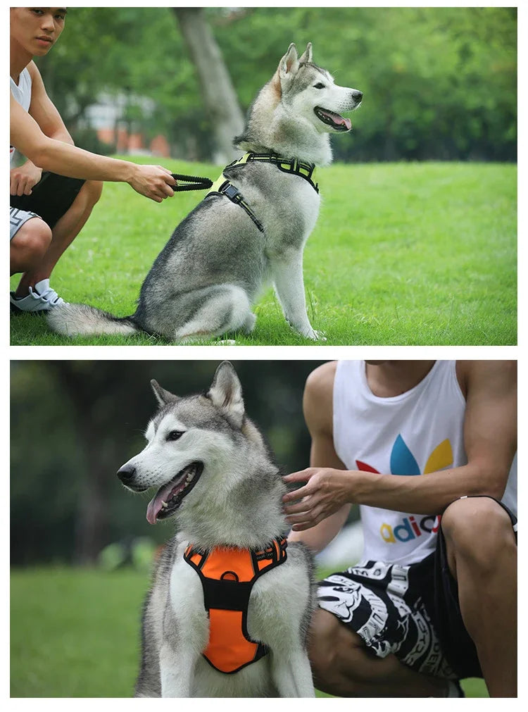 No-Pull Reflective Nylon Dog Harness for Strong Pullers