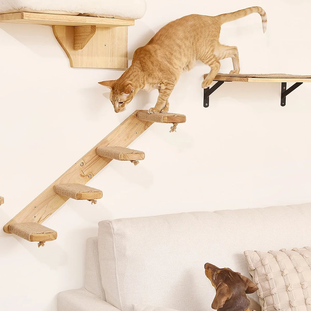 Wall-Mounted Cat Climbing Shelf & Hammock Set