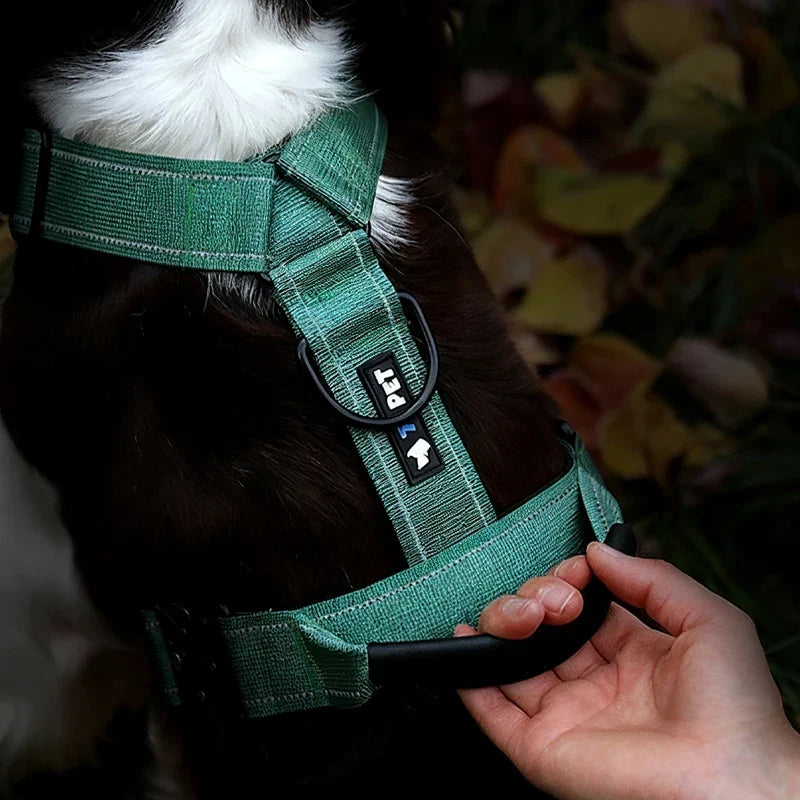 Y-Shaped No-Pull Dog Harness with Leather Handle — Soft Padded, Metal Buckles & Adjustable Fit