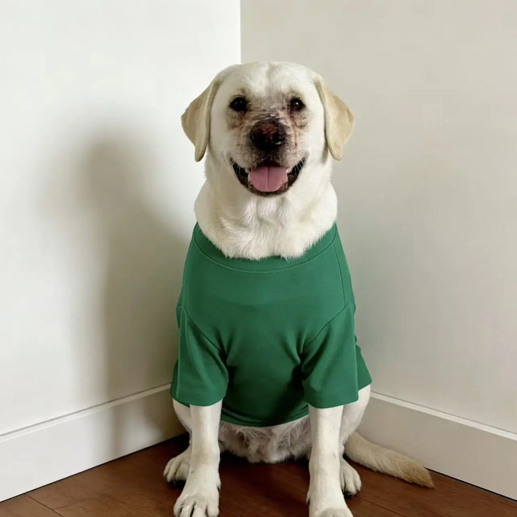 Soft Breathable Dog Cooling Vest Shirt | Casual Summer Top for Medium & Large Dogs