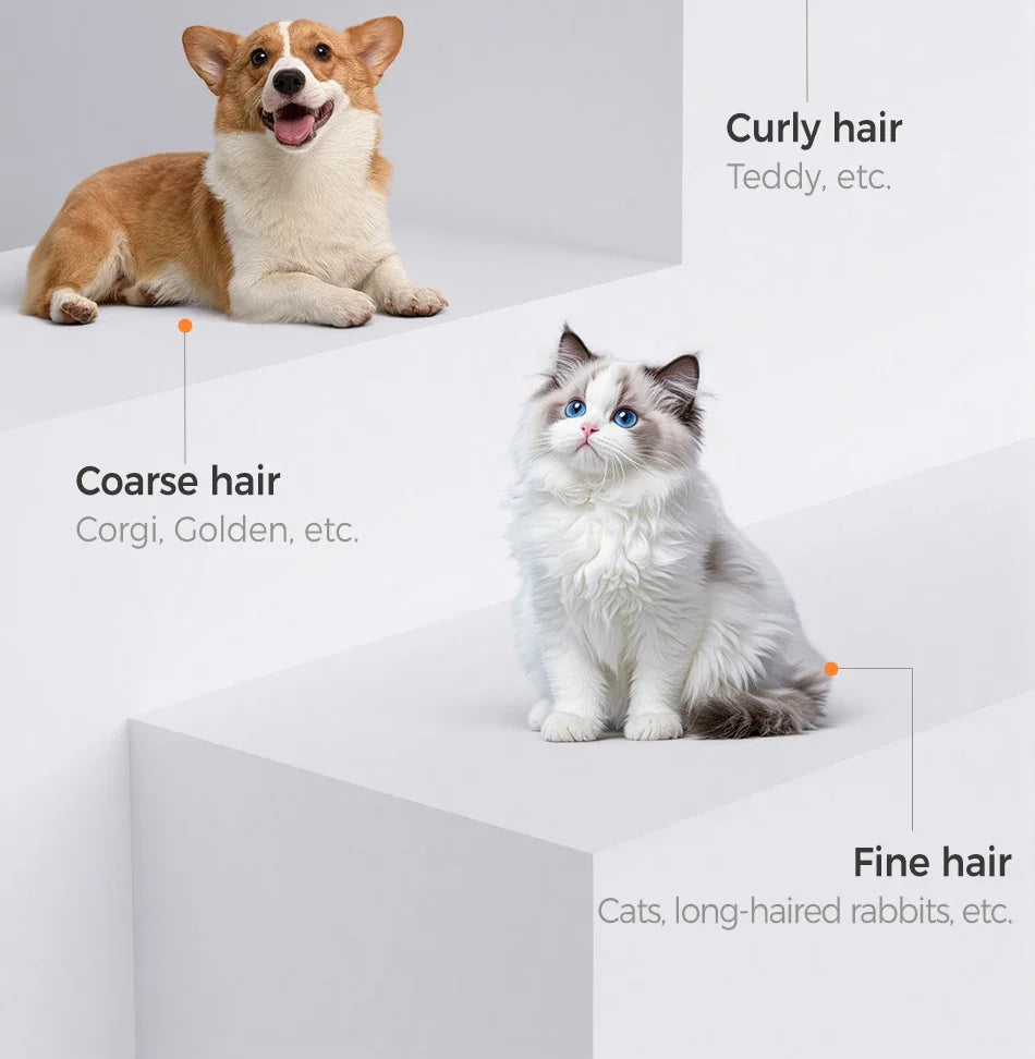 4-in-1 Electric Pet Grooming Kit for Dogs & Cats