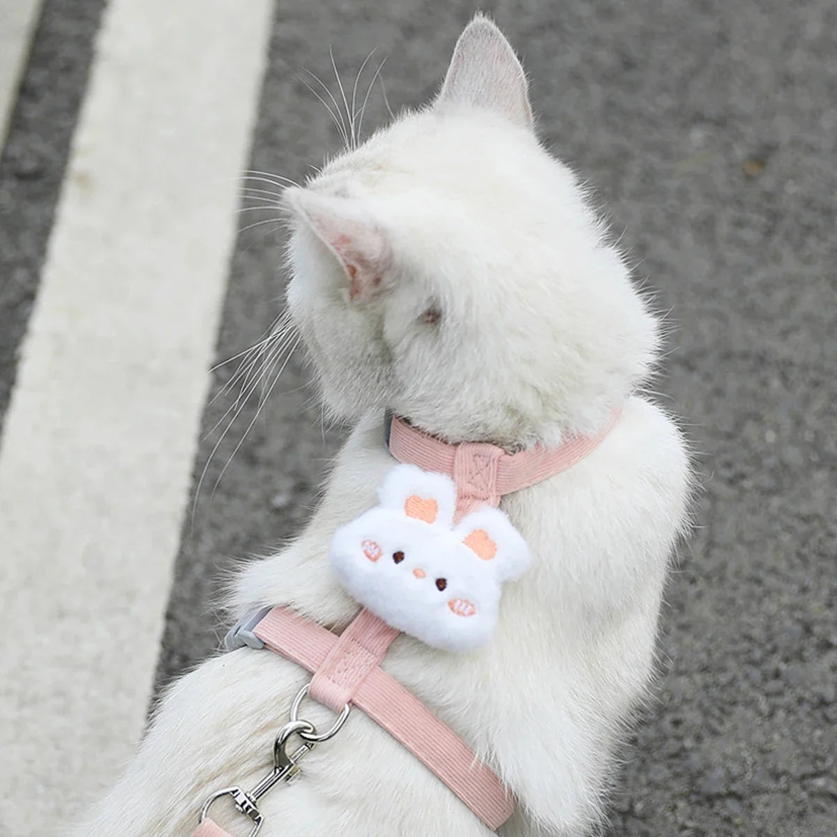 Breathable Adjustable Harness & Leash Set for Cats and Small Dogs