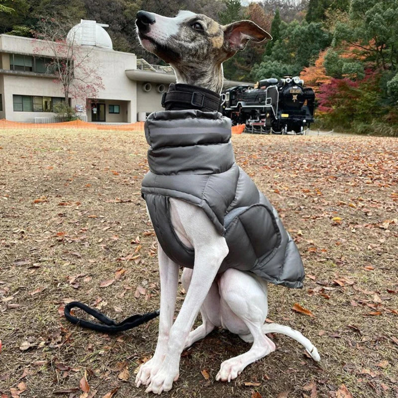 Windproof Winter Down Vest for Small Dogs