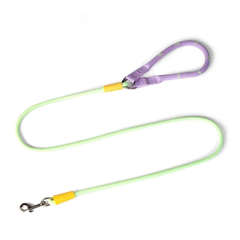 Nylon P-Chain Slip Lead & Collar for Small Dogs