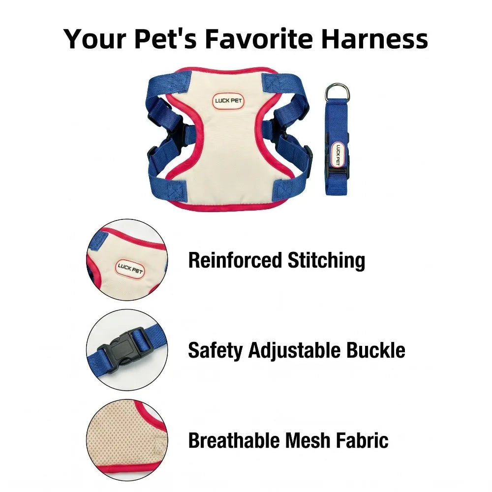 Breathable Vest Harness & Leash Set for Small Dogs