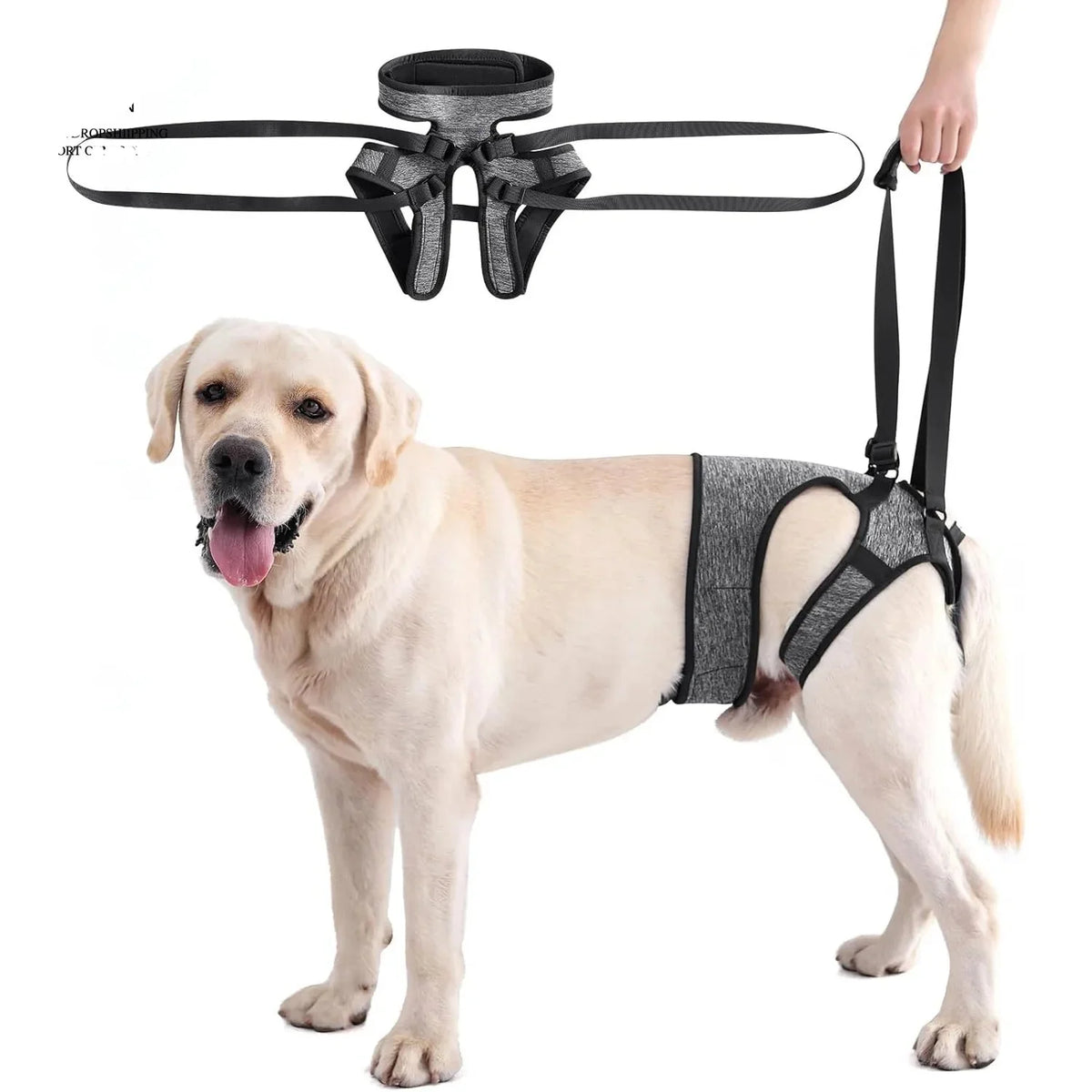Hind Leg Support Dog Sling for Large & Senior Dogs | Adjustable Mobility Aid