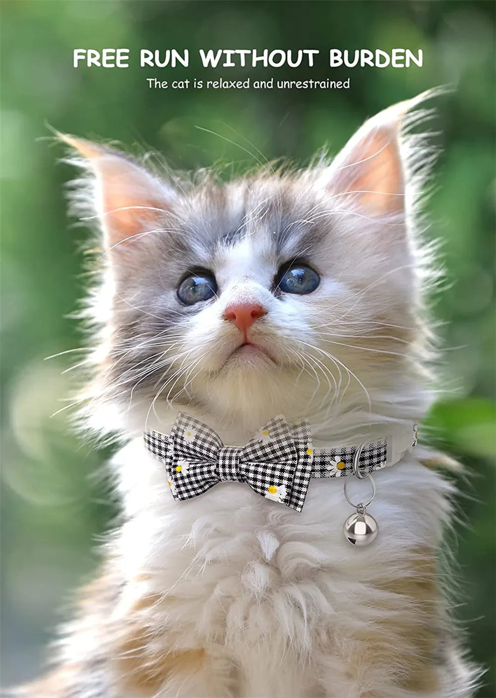 Breakaway Cat Collar with AirTag Holder & Bell