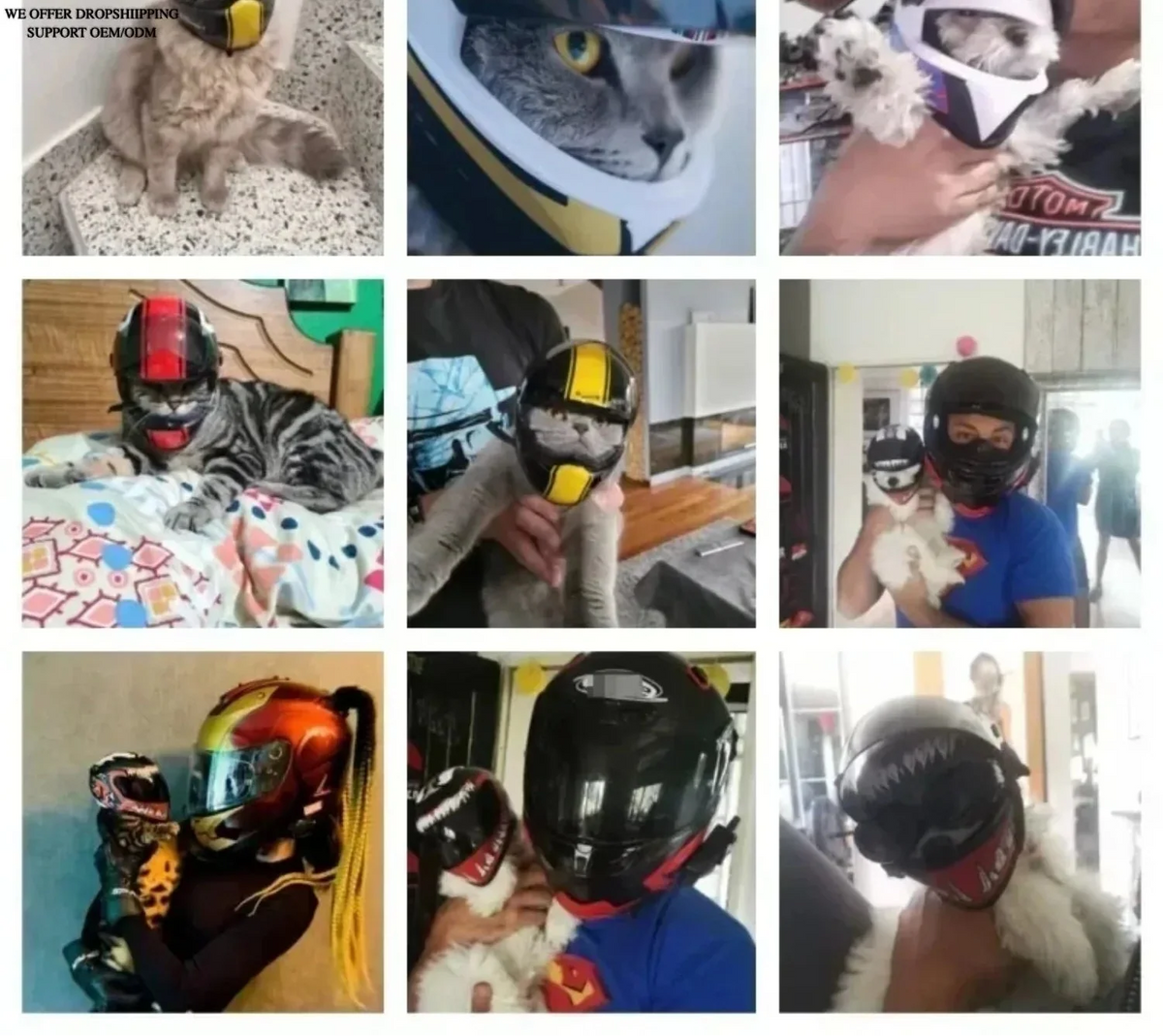 Pet Motorcycle Helmet for Cats & Small Dogs