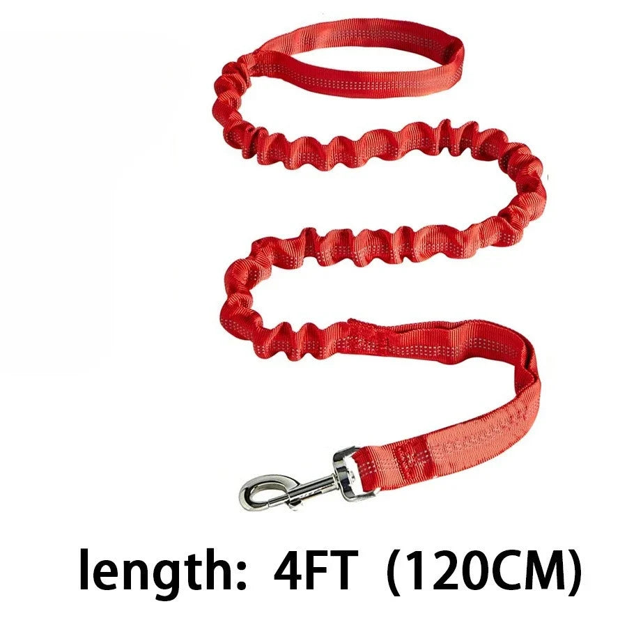 Elastic Shock Absorbing Dog Training Leash