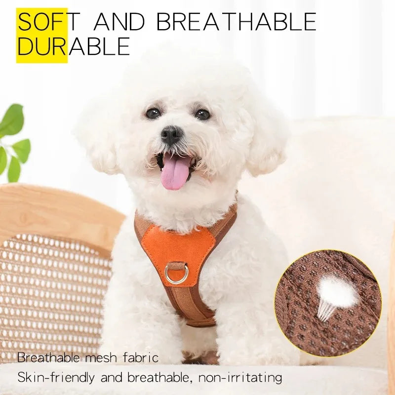 Multi-Pet Harness and Leash Set for Dogs and Cats
