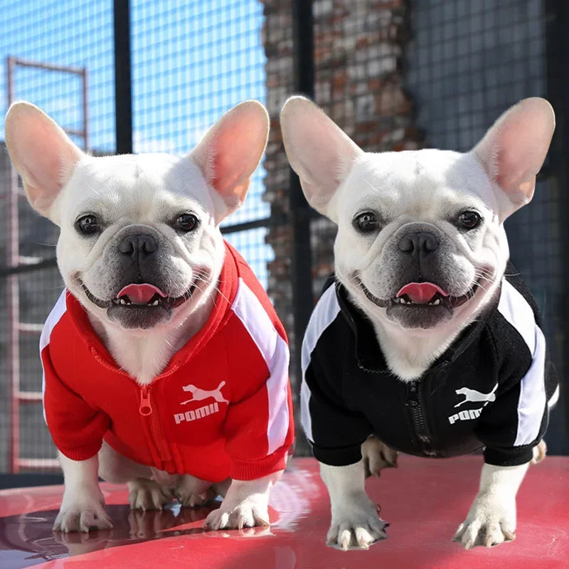 Dog Baseball Jacket | Autumn Winter Sweatshirt Coat for Small & Medium Dogs