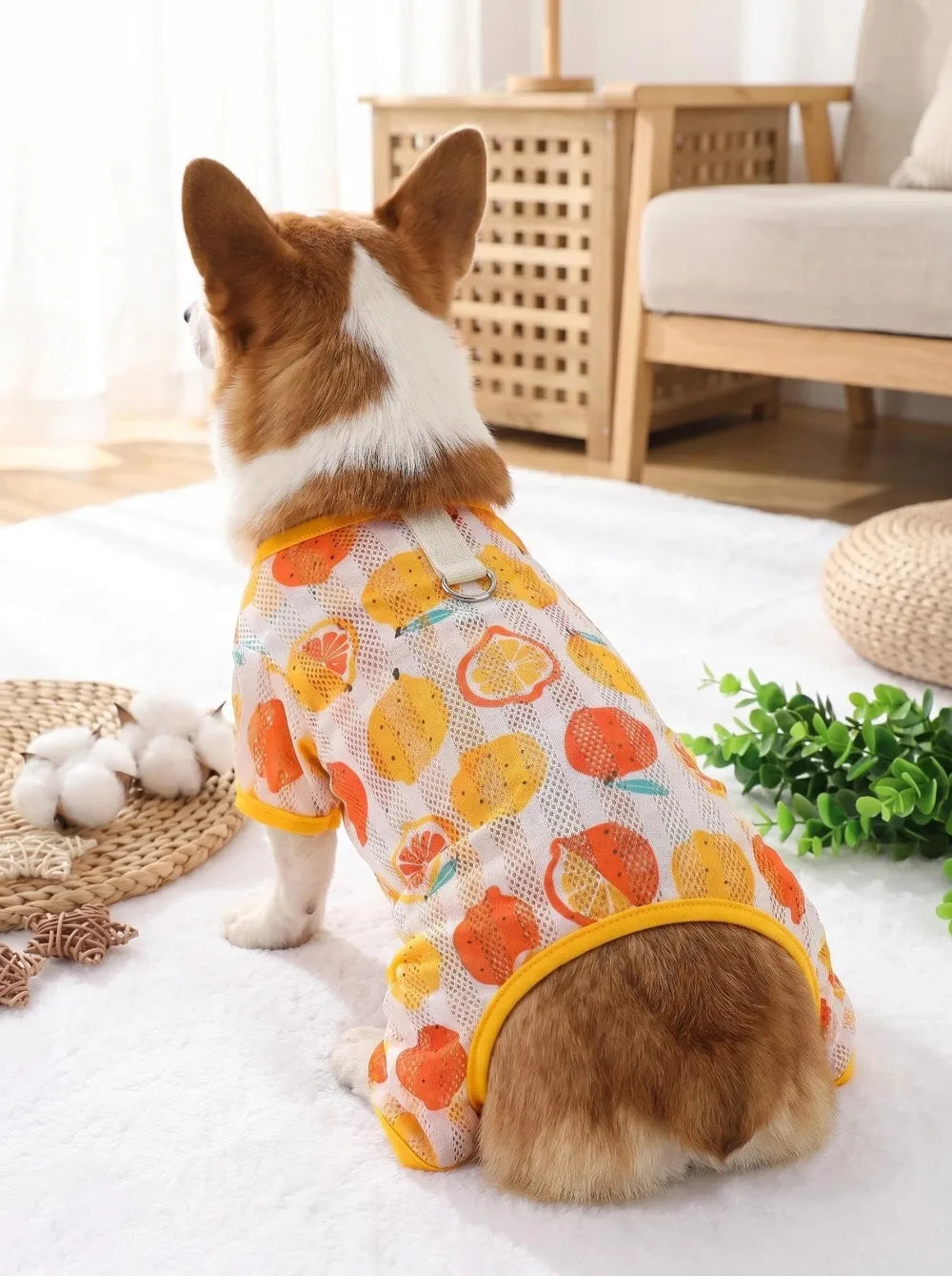 Breathable Mesh Cooling Jumpsuit for Small Dogs & Cats