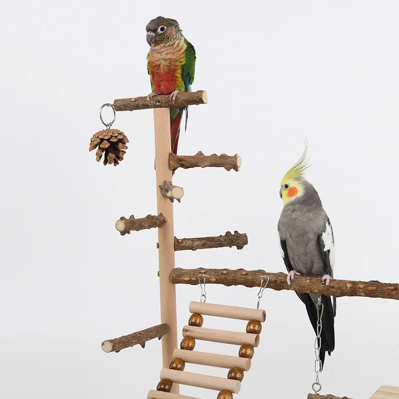 Natural Wood Parrot Climbing Frame with Swing, Ladder & Suspension Bridge