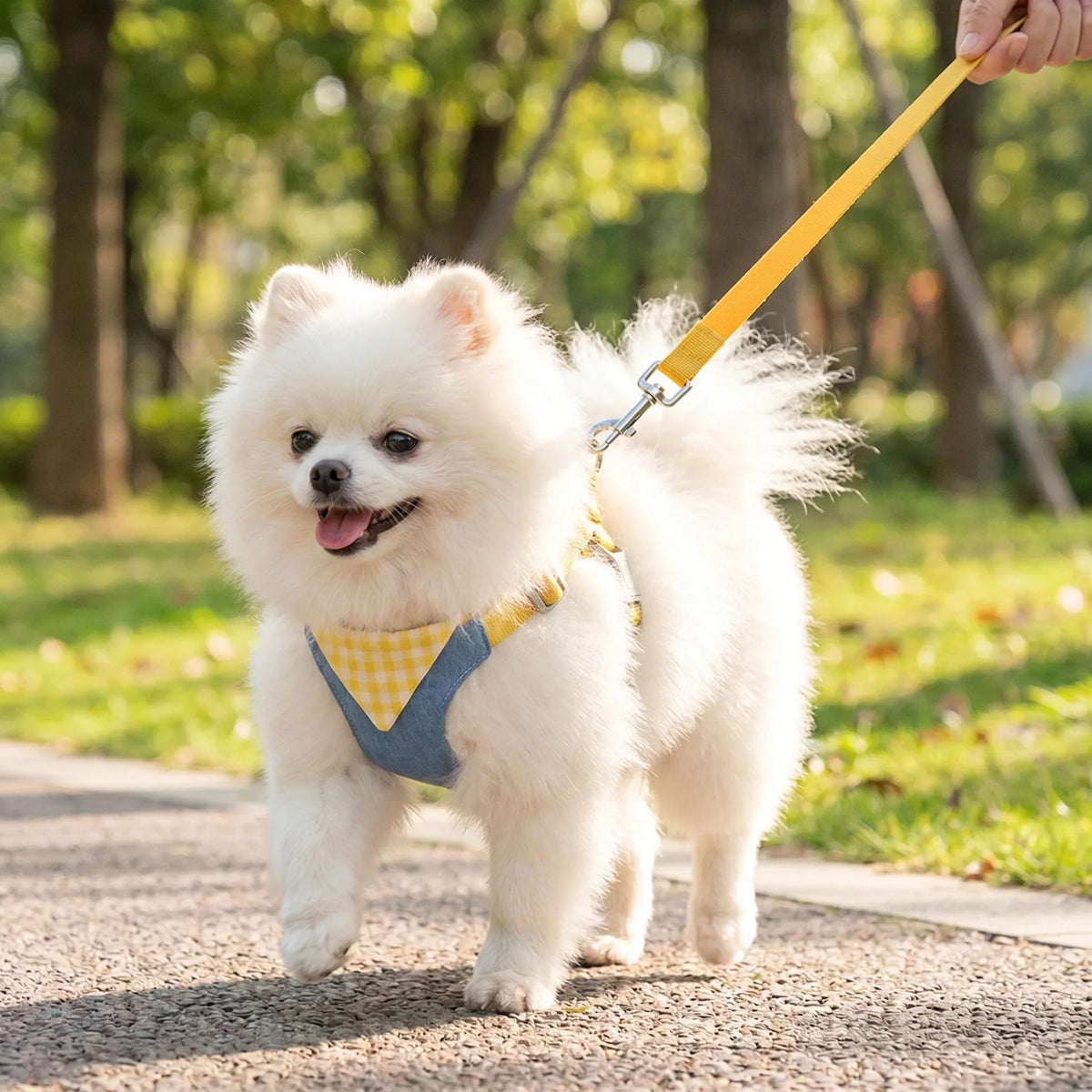 Denim No-Pull Harness & Leash Set for Dogs & Cats