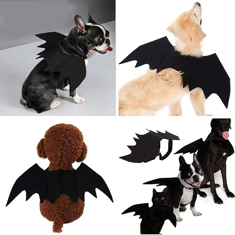 Halloween Bat Wings Costume for Dogs & Cats — Collar Lead & Cosplay Dress-Up Accessories