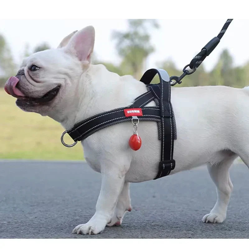 Saddle-Style Padded Dog Harness Vest