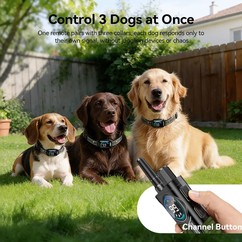 1000m Remote Control Dog Training Collar with Vibration & Bark Stop