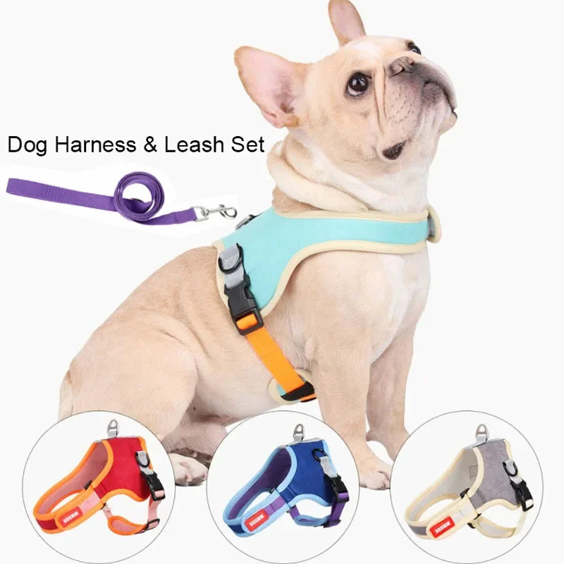 Reflective Dog Harness & Leash Set - Nylon Vest Harness for All Sizes