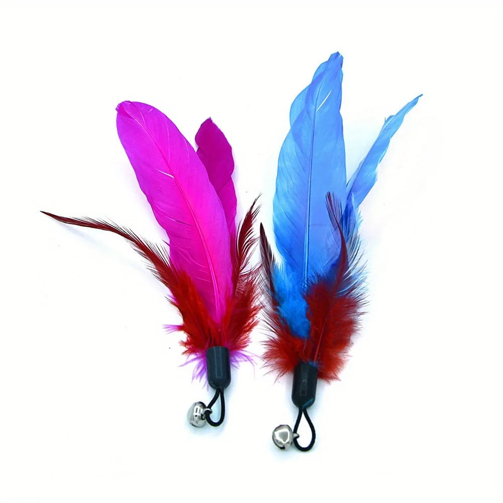 Feather Cat Wand 11-Pack with Bells