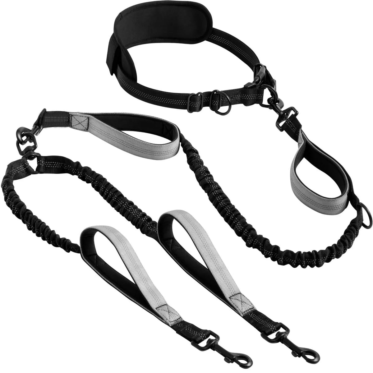 Double Dog Leash with Elastic Shock Absorber