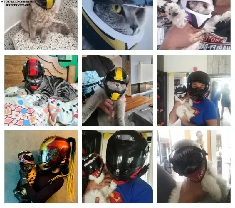 Full Face Pet Motorcycle Helmet for Cats & Small Dogs