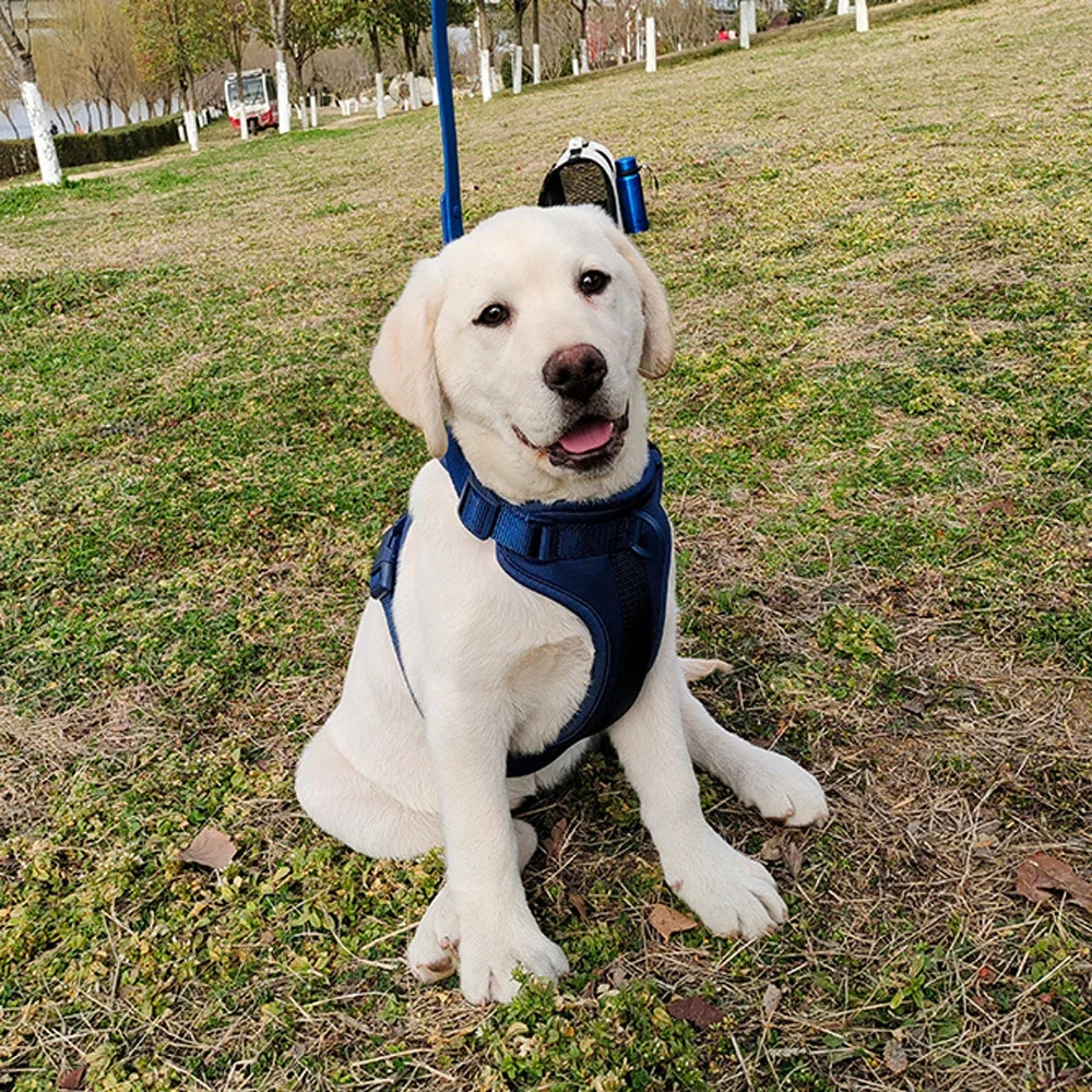 Breathable Adjustable Dog Harness Vest